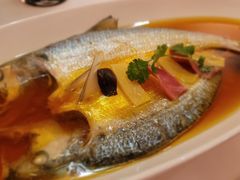 鲥鱼-玫瑰厅上海菜(兴国路店)