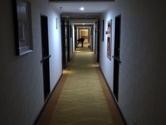 -金紫薇酒店(成都春熙路步行街店)