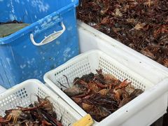 -独一道·邵伯龙虾土菜馆·烧烤(雨花西路店)