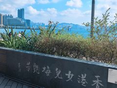 -星光大道