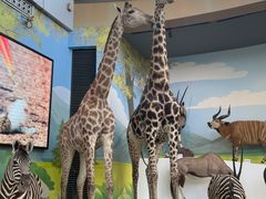 -陕西自然博物馆