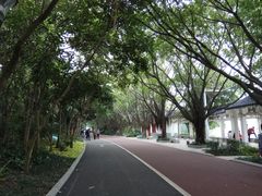 -南宁南湖公园