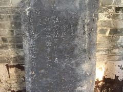 -碧江金楼