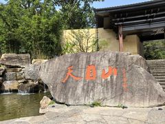 -天目山大树王景区