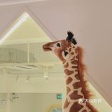 深圳新店｜一家让人嘴角上扬的蛋糕店🍰