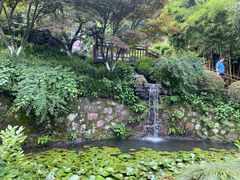 -十八棵（老龙井）御茶园(老龙井店)