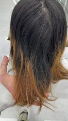 -5号HAIR SALON 专业染发馆