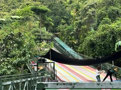 -海南槟榔谷黎苗文化旅游区