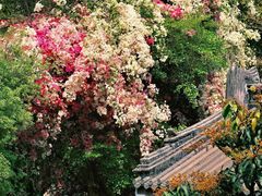 -深圳国际园林花卉博览园