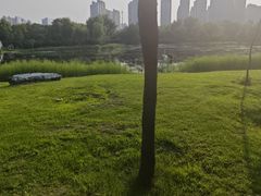 -群力丁香公园