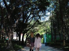 -史努比缤纷世界