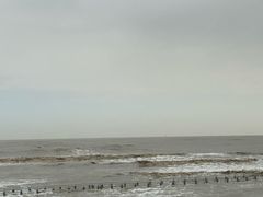 -南汇嘴观海公园