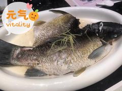 -新兴·金羊座·粤菜点心(乐峰店)