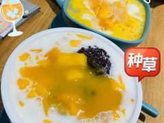 杨枝金捞-杨枝金捞甜品(氹仔泉澧店)