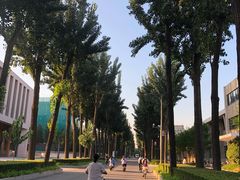 -清华大学-清芬园
