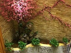 -鸥迪足道(老虎滩店)