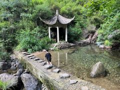 -大奇山国家森林公园