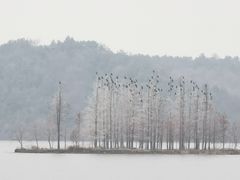 -东湖落雁景区