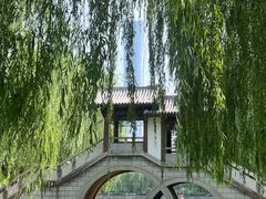 -团结湖公园