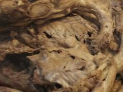 -阿古牛肉丸(一建店)