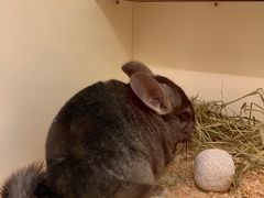 -龙猫仔乐园(惠福东路店)