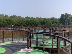 -大湾区中央湿地公园