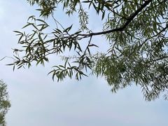 -北京奥林匹克公园