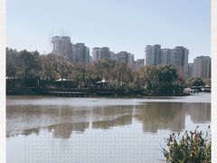 -新江湾城公园