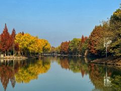 -长广溪湿地公园