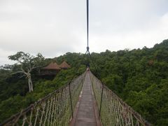 -三亚亚龙湾人间天堂鸟巢度假村