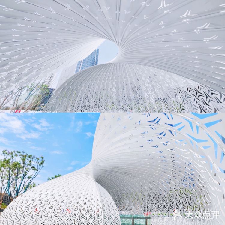 解锁鹦鹉螺｜开启有光的生活