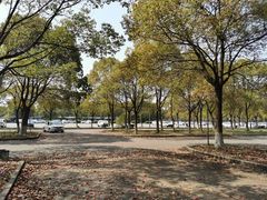 -安飞驰驾校·学车连锁(金高店)