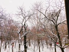 -东北师范大学(净月大街校区)