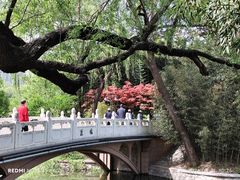 -玲珑塔公园