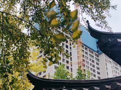 -佬钱湾仔(衣裳街店)