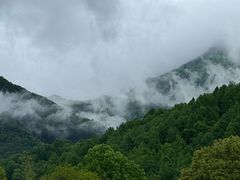 -鸿运楼·舌尖上的徽菜