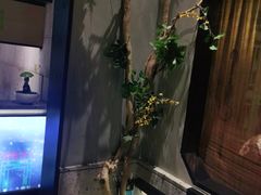 -贝勒爷·酥不腻烤鸭