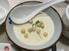 鸡头米芝士-新梅华餐厅(星悦汇店)