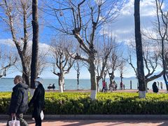 -滇池海埂公园