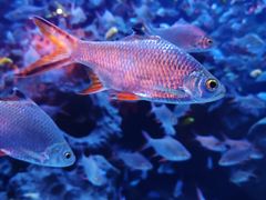 -成都浩海立方海洋公园