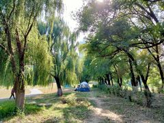 -长白岛森林公园