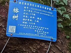 -桂林独秀峰王城景区