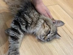 -觅时光手作·香薰·拼豆豆·陶艺DIY