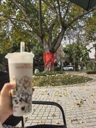 -莲生母婴月子中心(清水河公园店)