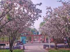 -石家庄市植物园