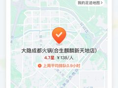 -大隐·成都火锅Bistro(合生麒麟新天地店)