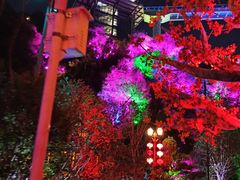 -黄腾峡天门悬廊