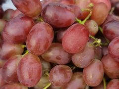 -新隆嘉供销超市(青岛瑞昌路店)