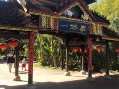 -云南民族村