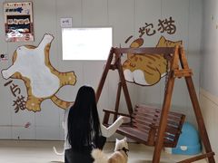 -豆逗聊愈猫阁Easy Life